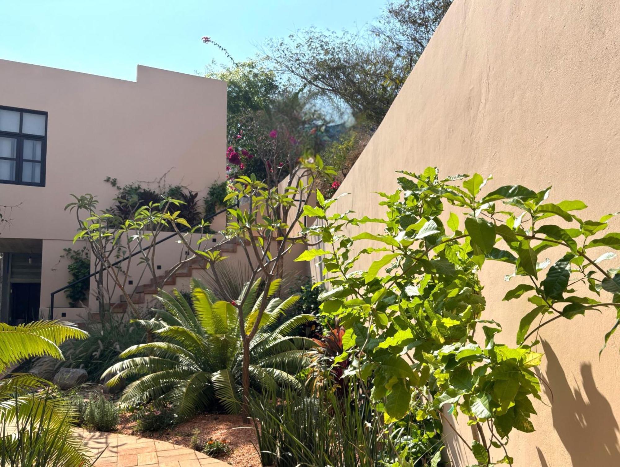 Casa Las Almas Mazunte Exterior foto